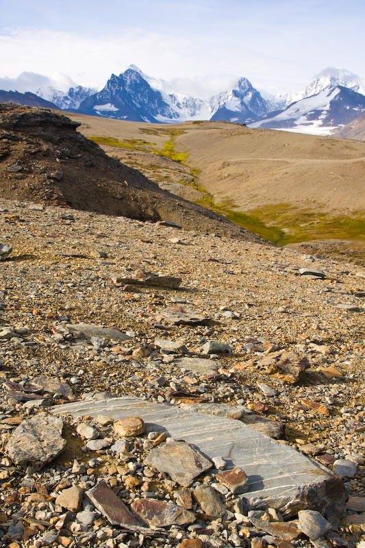 Mountains Above Scree